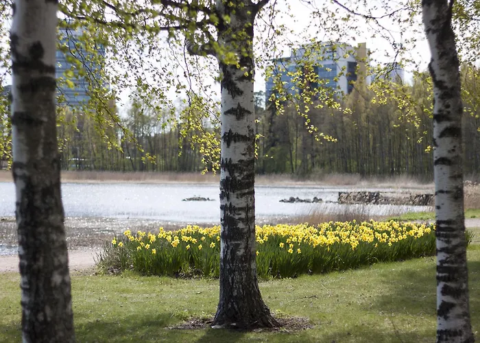 Radisson Blu Hotel 4*